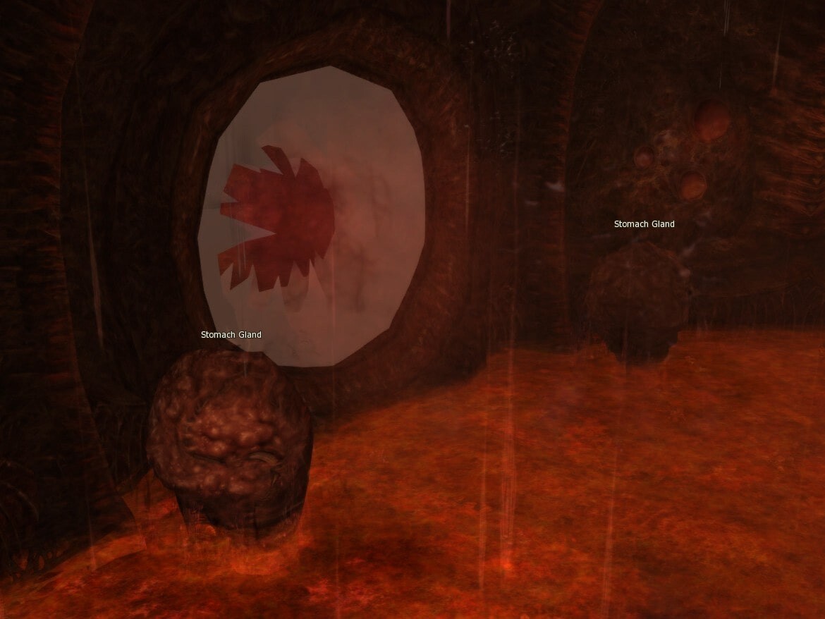 Trasken Stomach Gland l2