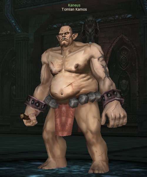 Томлан Камос Tomlan Kamos Lineage 2